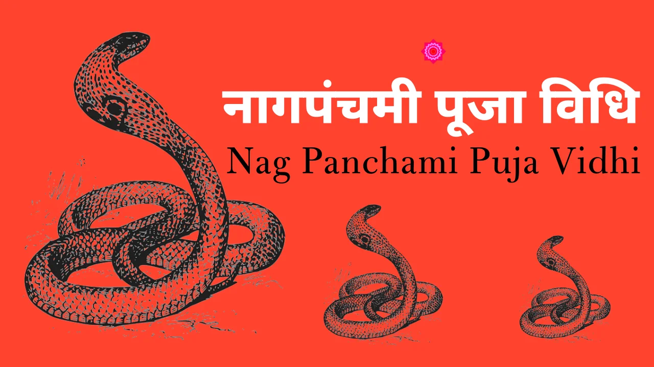 नगपचम पज वध Nag Panchami Puja Vidhi 2023 Astrology Hindi