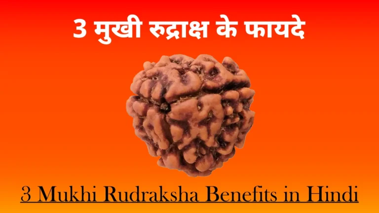 3 Mukhi Rudraksha Benefits in Hindi