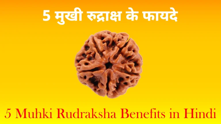 5 मुखी रुद्राक्ष के फायदे, 5 mukhi rudraksha benefits in hindi
