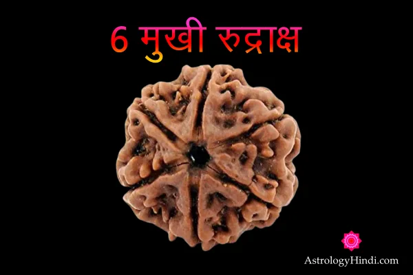 छह मुखी रुद्राक्ष पहनने के फायदे,6 mukhi rudraksha benefits in hindi,