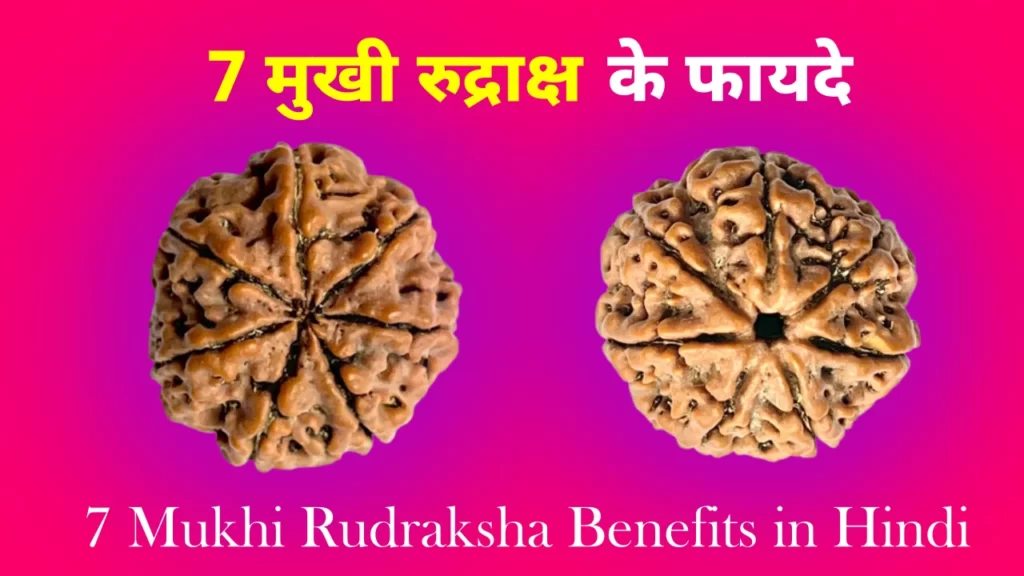 7 मुखी रुद्राक्ष के फायदे, 7 mukhi rudraksha benefits in hindi