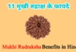 11 मुखी रुद्राक्ष के फायदे, 11 mukhi rudraksha benefits in hindi