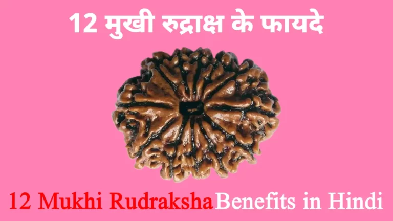 12 Mukhi Rudraksha Benefits in Hindi, 12 मुखी रुद्राक्ष के फायदे