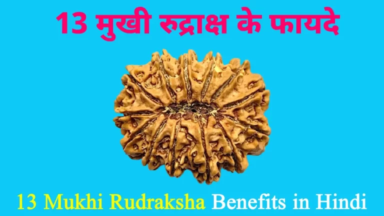 13 Mukhi Rudraksha Benefits in Hindi, 13 मुखी रुद्राक्ष के फायदे