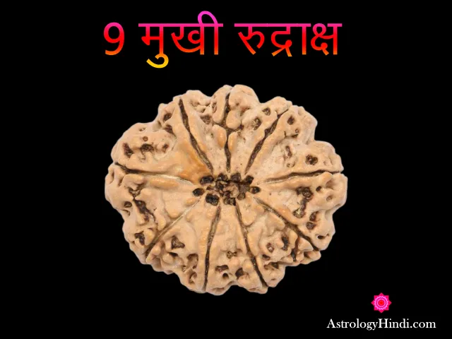 9-Mukhi-Rudraksha-benefits-in-hindi,9 Mukhi Rudraksha ke fayde