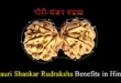 Gauri Shankar Rudraksha Benefits in Hindi, गौरी शंकर रुद्राक्ष की पहचान