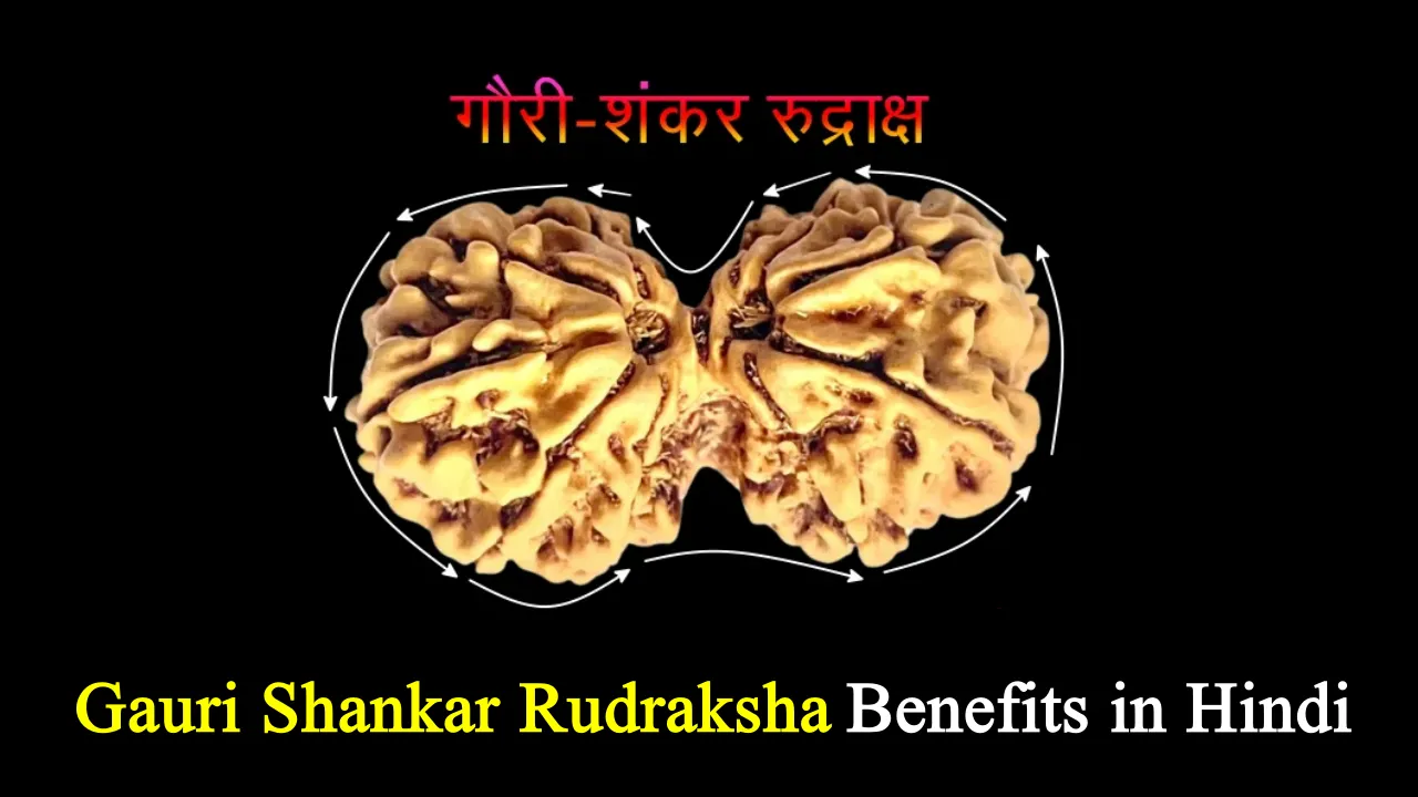 Gauri Shankar Rudraksha Benefits in Hindi, गौरी शंकर रुद्राक्ष की पहचान