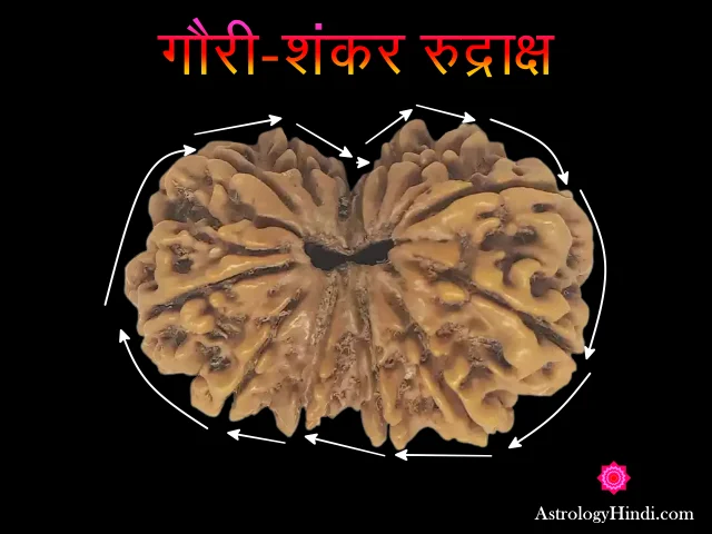 gauri shankar rudraksha similar to 13 mukhi rudraksha