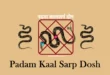 पद्म कालसर्प दोष क्या है, what is padam kaal sarp dosh in hindi