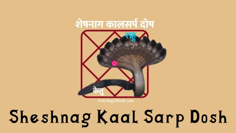 sheshnag kaal sarp dosh in hindi, शेषनाग कालसर्प दोष