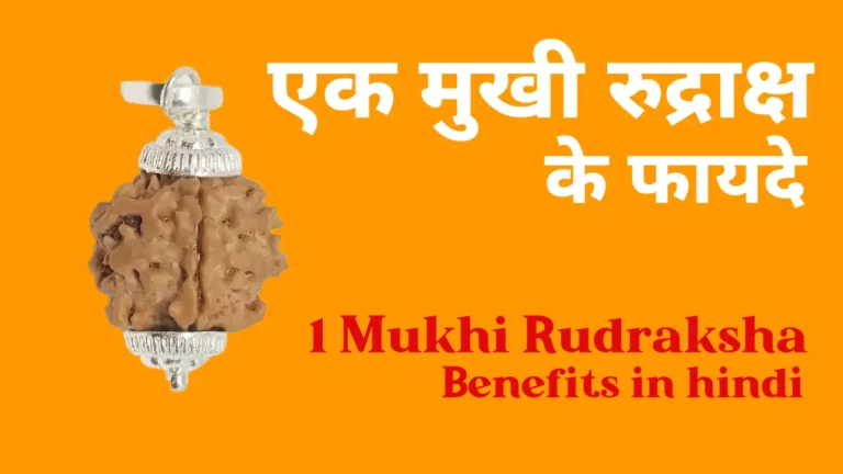 1 Mukhi Rudraksha Benefits in hindi