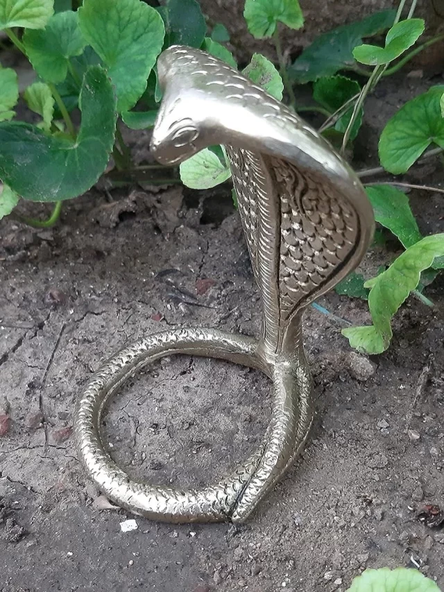 brass snake 1